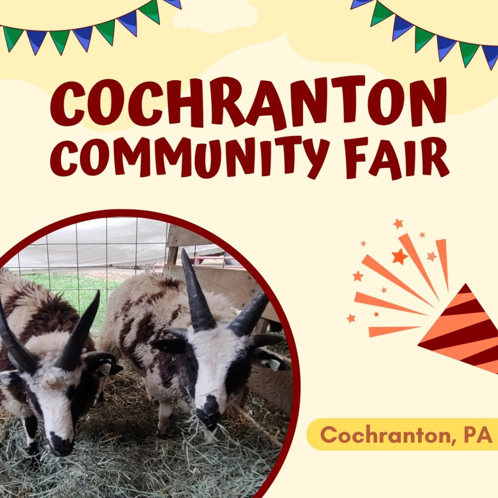 Cochranton Community Fair
