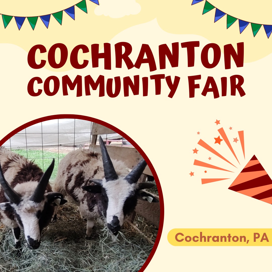 Cochranton Community Fair 2023 Eventlas