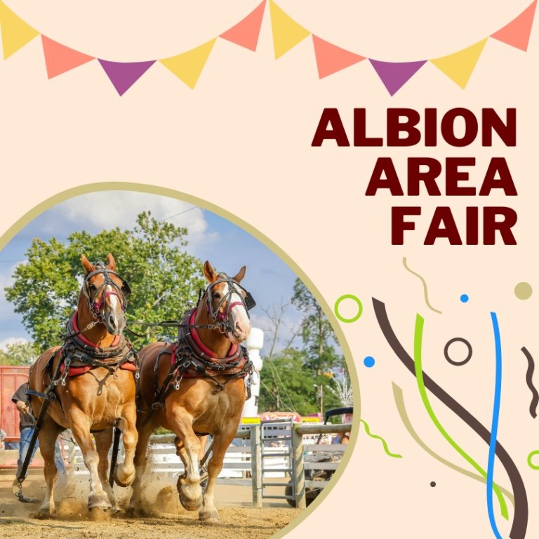 Albion Area Fair 2024 Eventlas