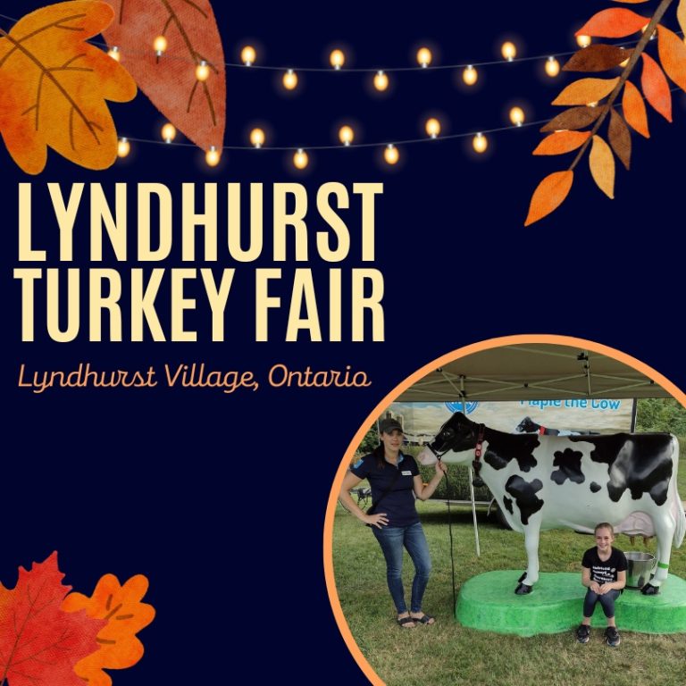 Lyndhurst Turkey Fair 2024 Eventlas