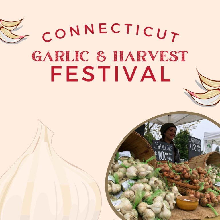 Connecticut Garlic And Harvest Festival Bethlehem CT 768x768 