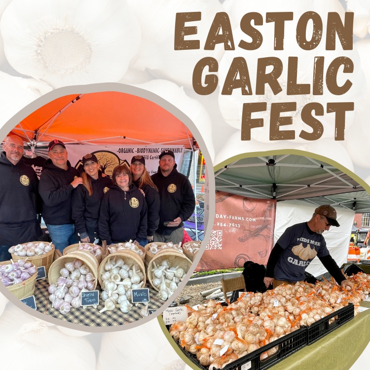 Easton Garlic Fest Pennsylvania