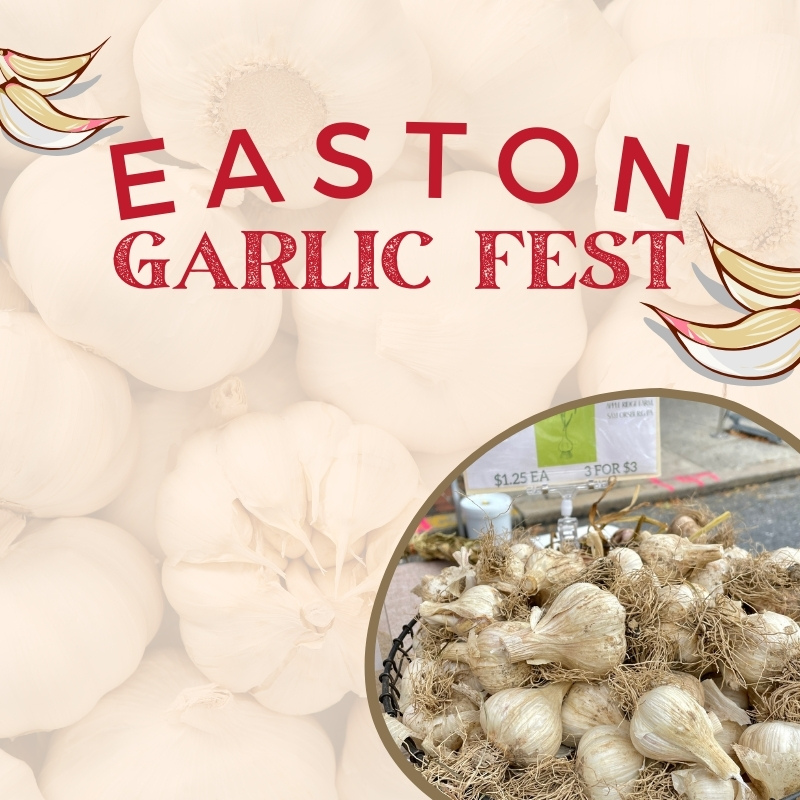 Easton Garlic Festival