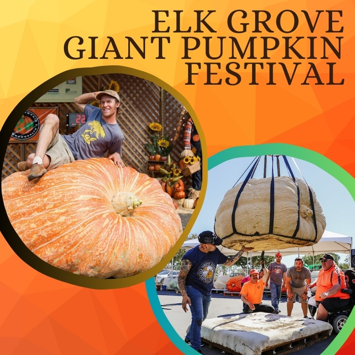 Giant Pumpkin Festival in Elk Grove, California