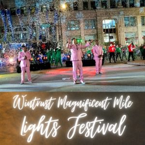 The Wintrust Magnificent Mile Lights Festival 2024 - Chicago, Illinois ...