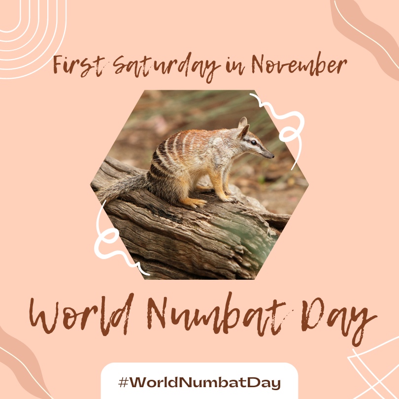 World Numbat Day