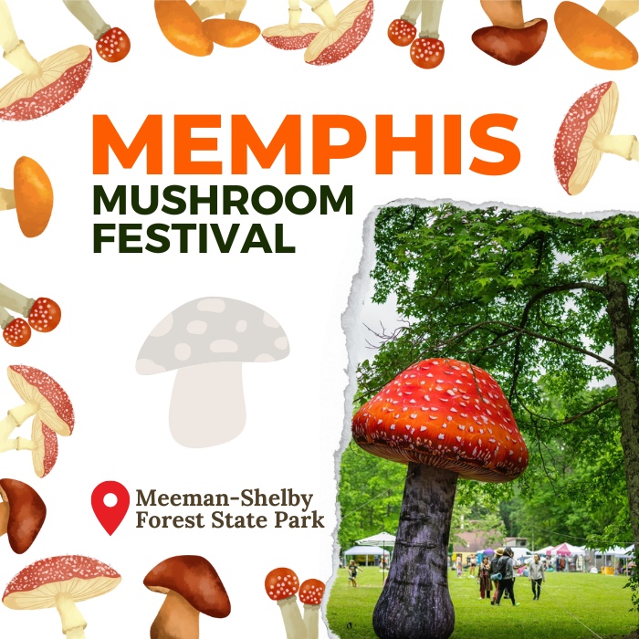 Memphis Mushroom Festival