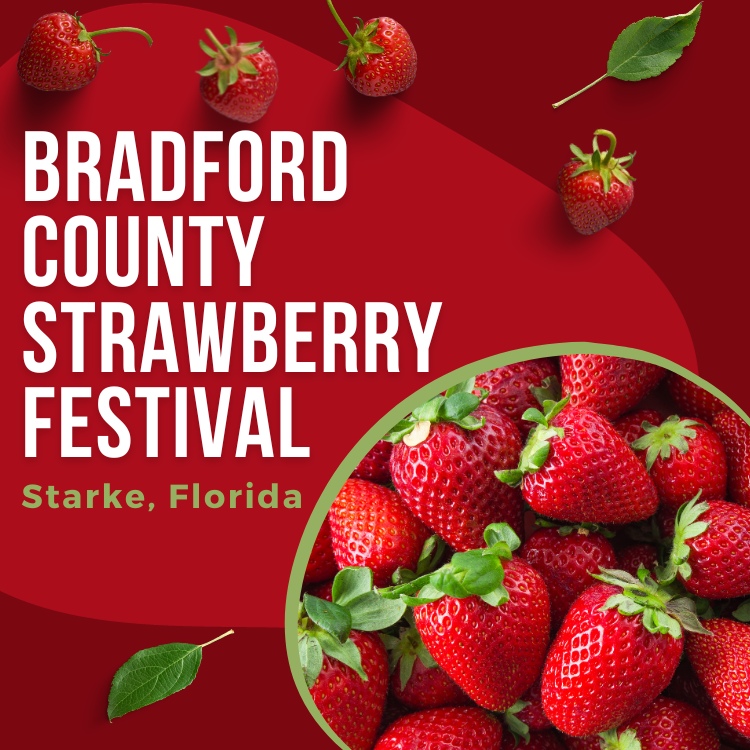 Bradford County Strawberry Festival 2024 – Starke, Florida