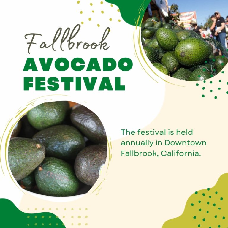 Fallbrook Avocado Festival 2024 Eventlas