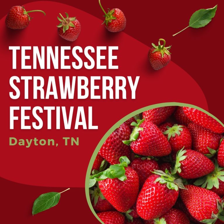 Tennessee Strawberry Festival 2024 Dayton, TN Eventlas