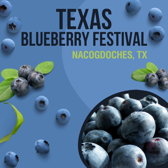 Texas Blueberry Festival in Nacogdoches, TX