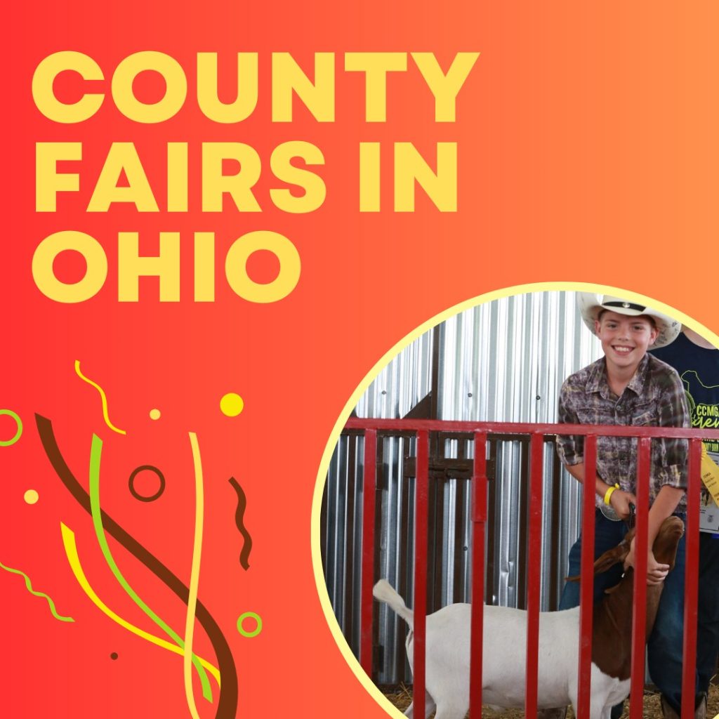 18 Splendid County Fairs in Ohio Eventlas